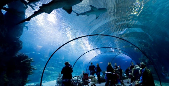 Diergaarde Blijdorp Rotterdam