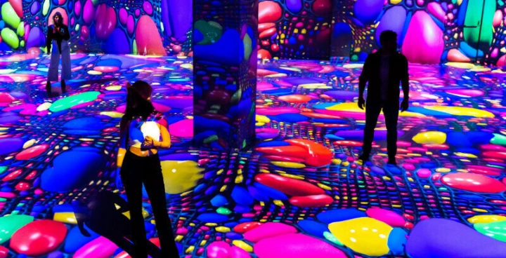 Motion Imagination Experience