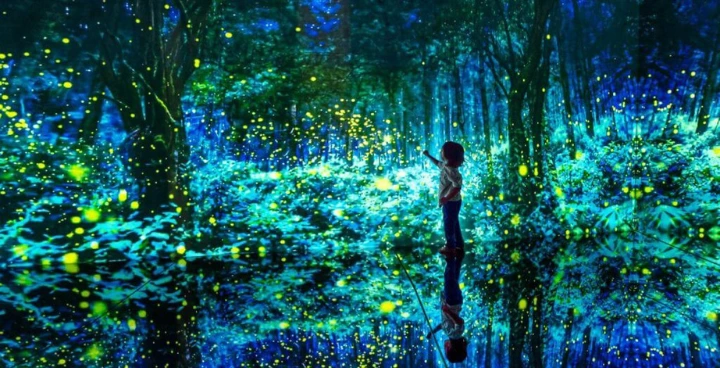 Mystika Immersive Tulum