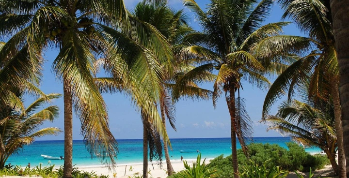 Playa Paraiso tulum mexico