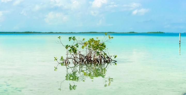 Bacalar Lagoon