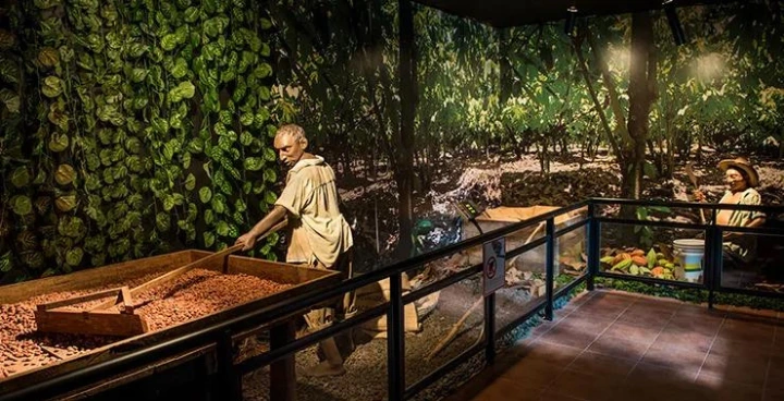 choco story valladolid