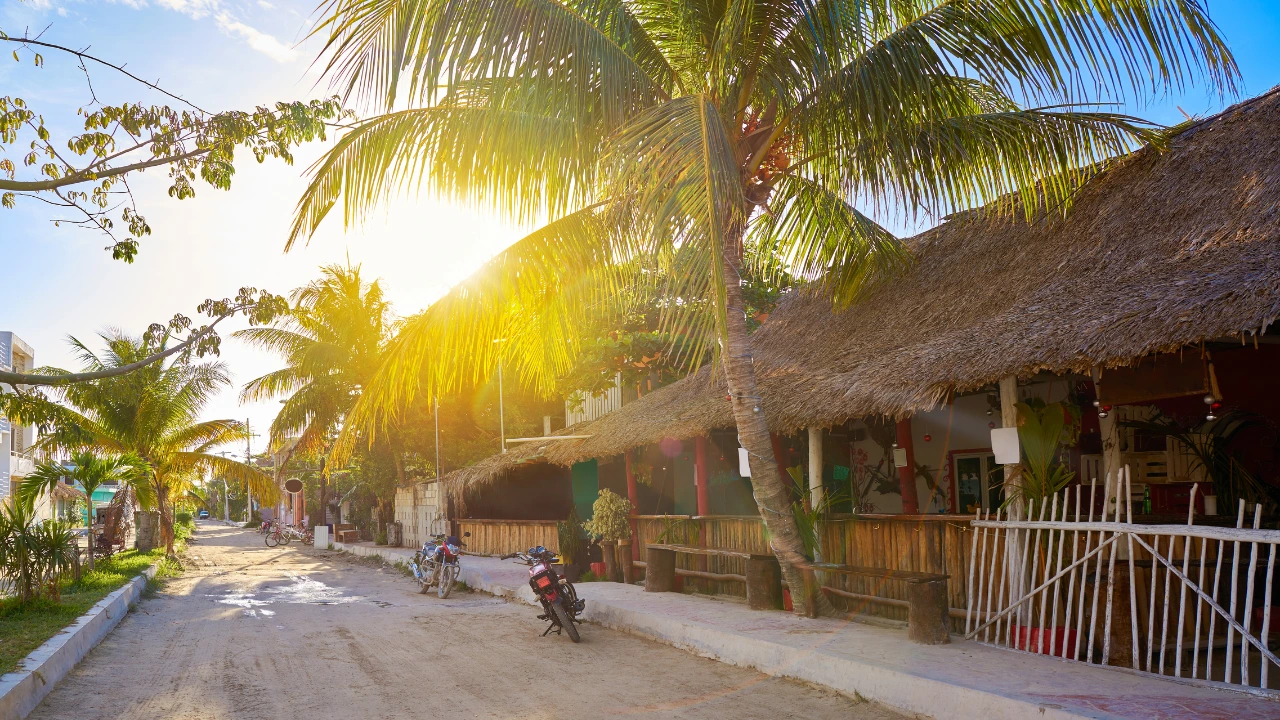 What to do on Isla Holbox? City addicts