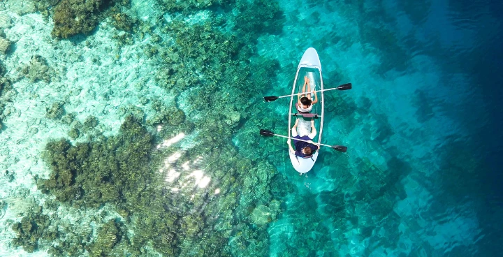 Kayak Tour Isla Holbox