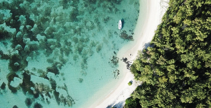 Vogels spotten tijdens eilandentour Isla Holbox