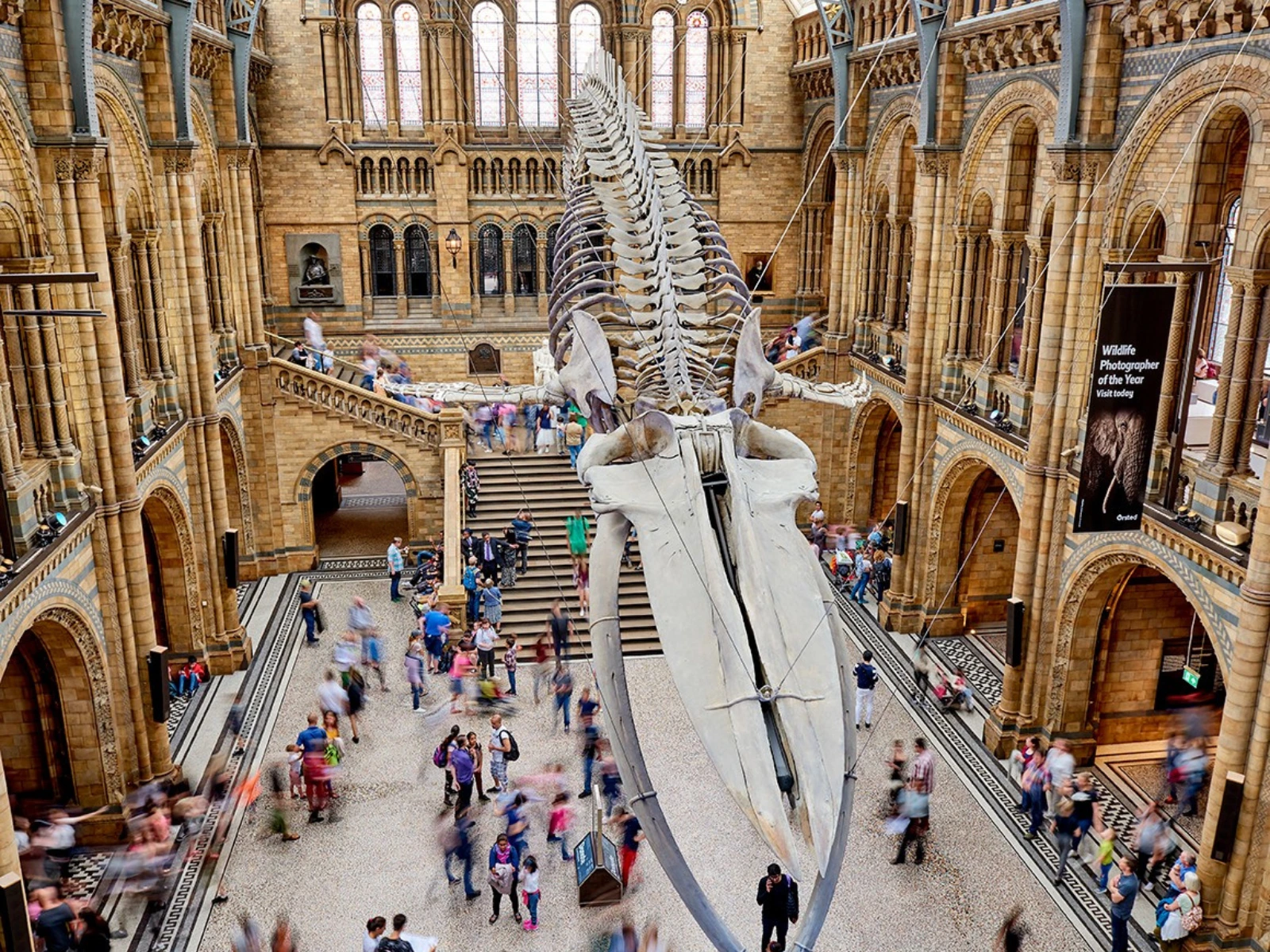 Natural History Museum - London museums