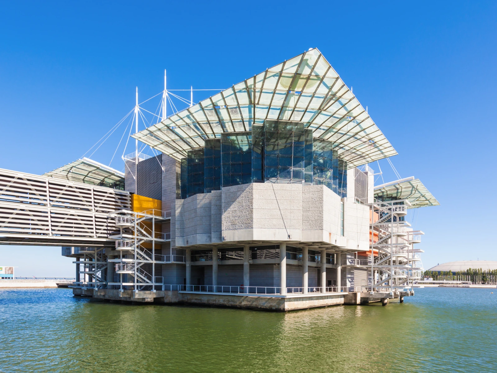 Oceanário de Lisbon - Activity Lisbon