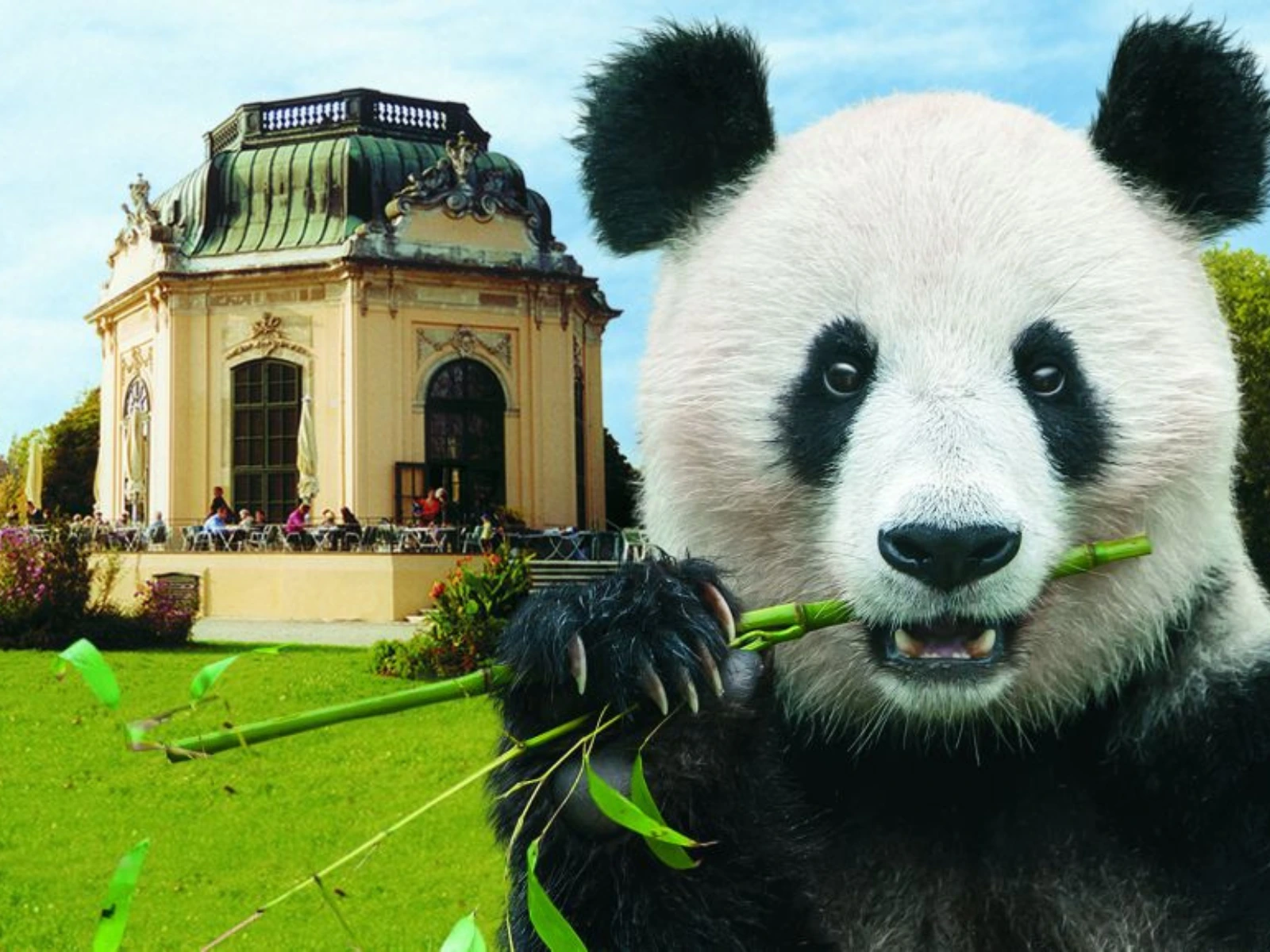 Vienna Zoo - Things to do in Vienna