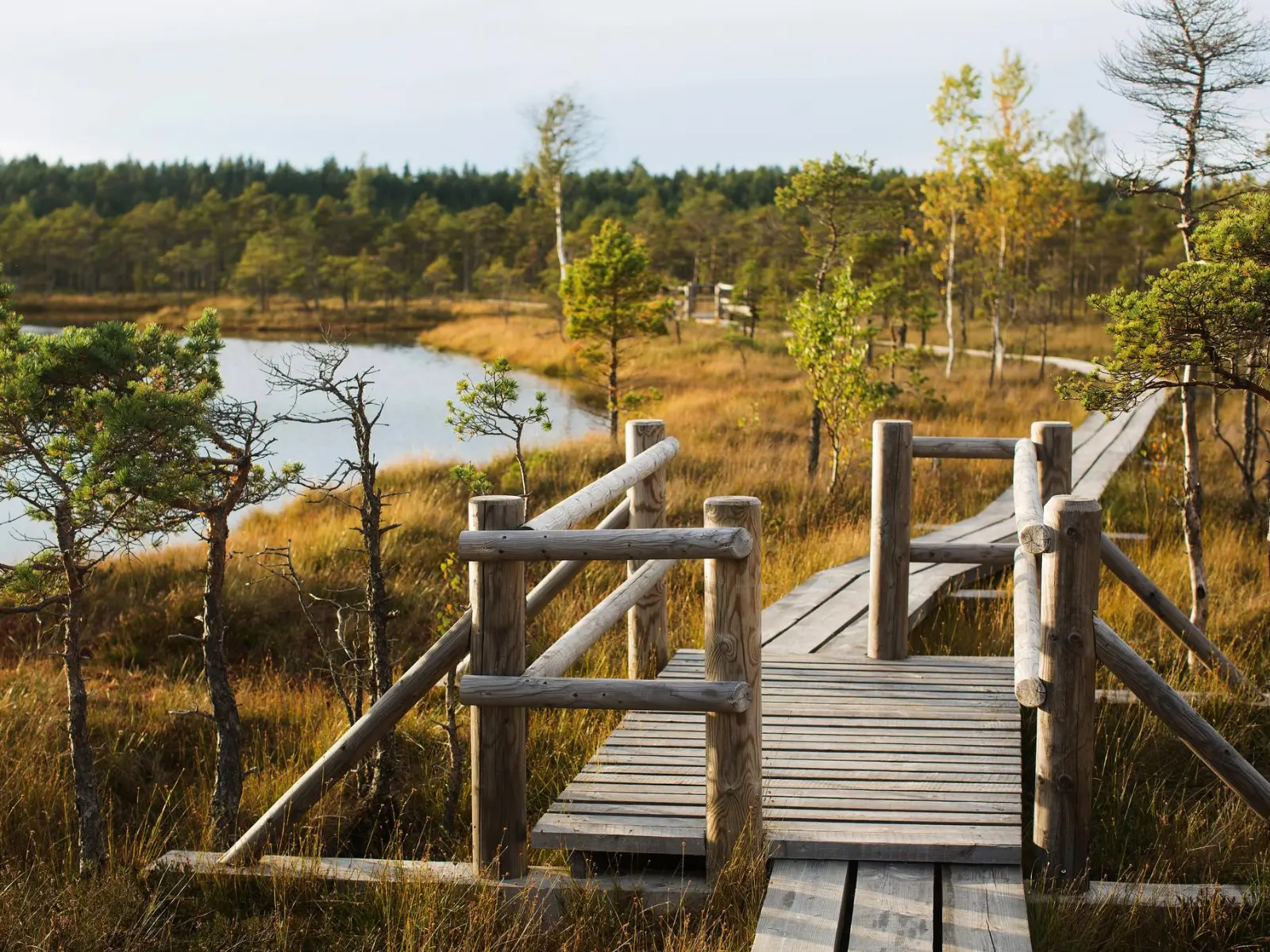Kemeri National Park - what to do in Riga
