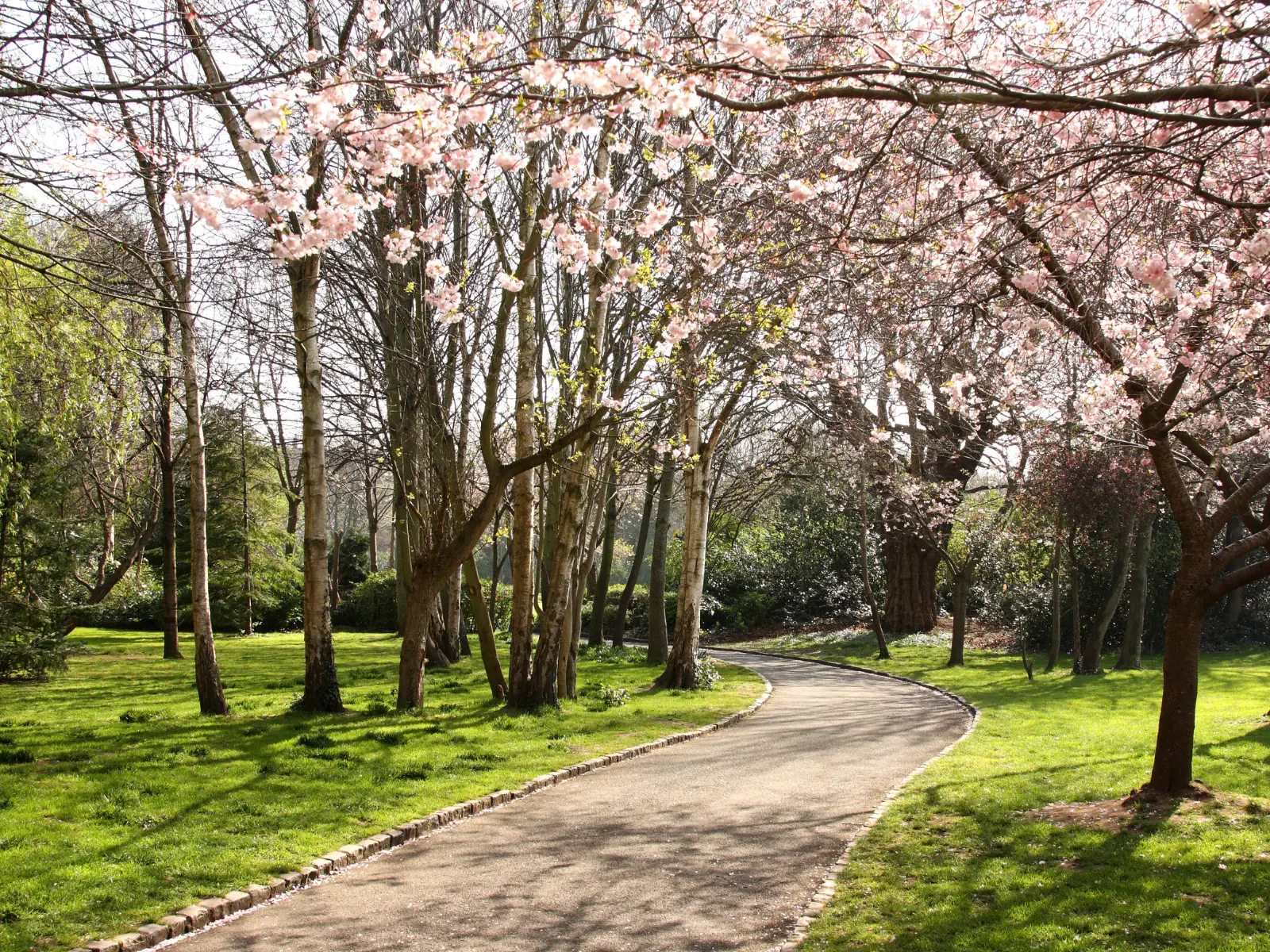 Merrion Square - Sights to see in Dublin