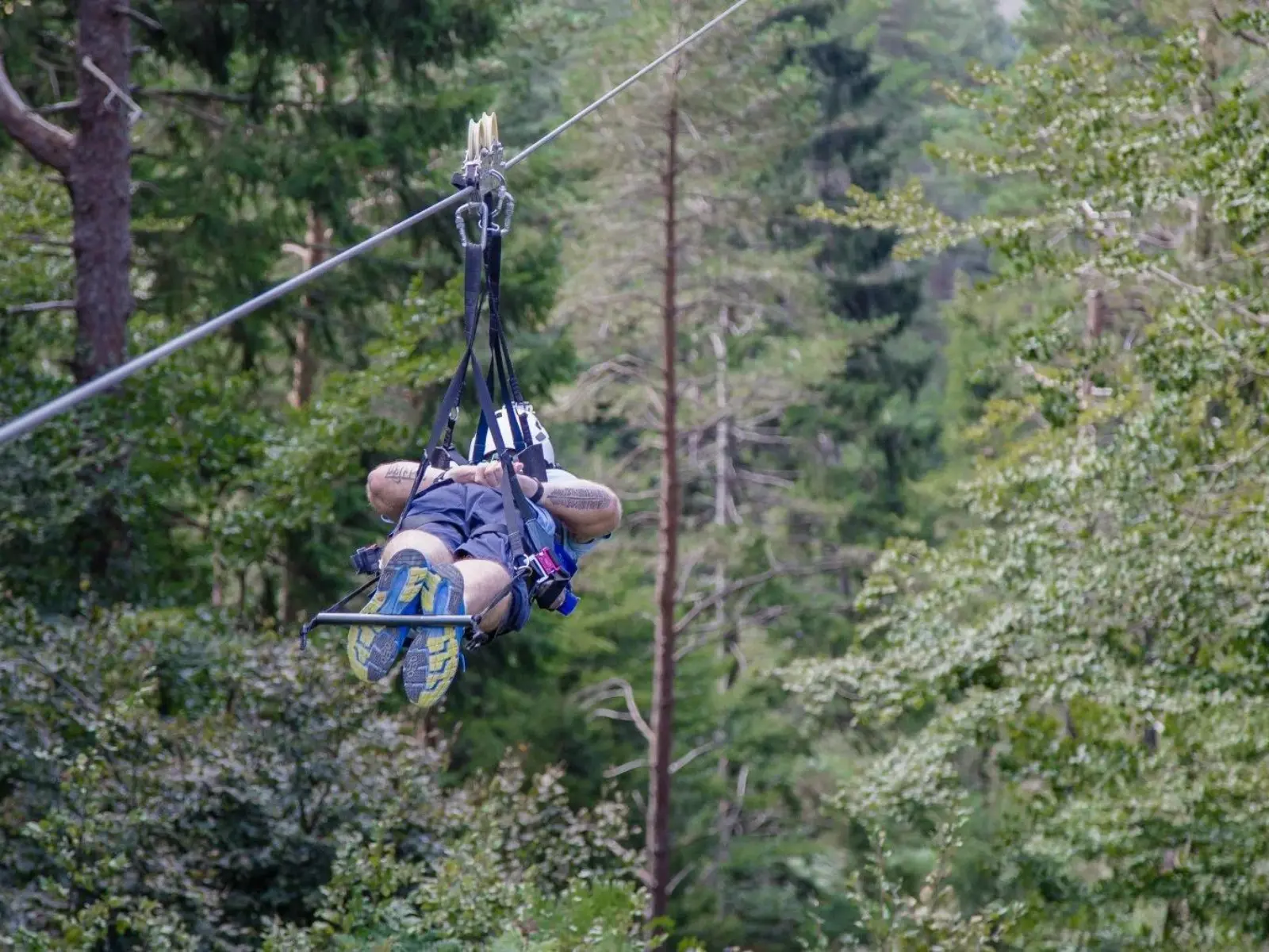 Ziplining Tour