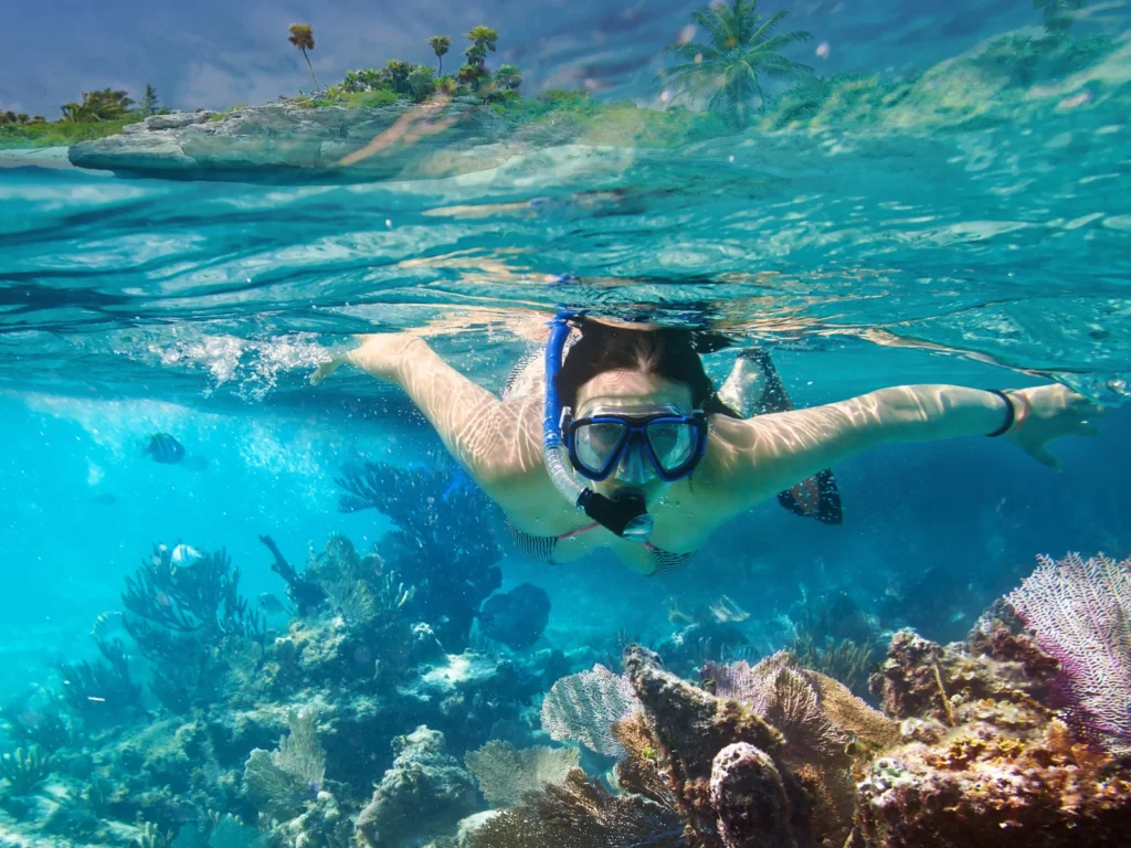 snorkeling - Things to do in Jimbaran Bali