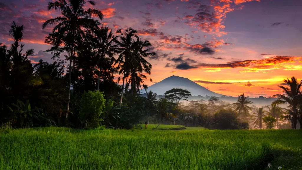 Ubud best restaurants