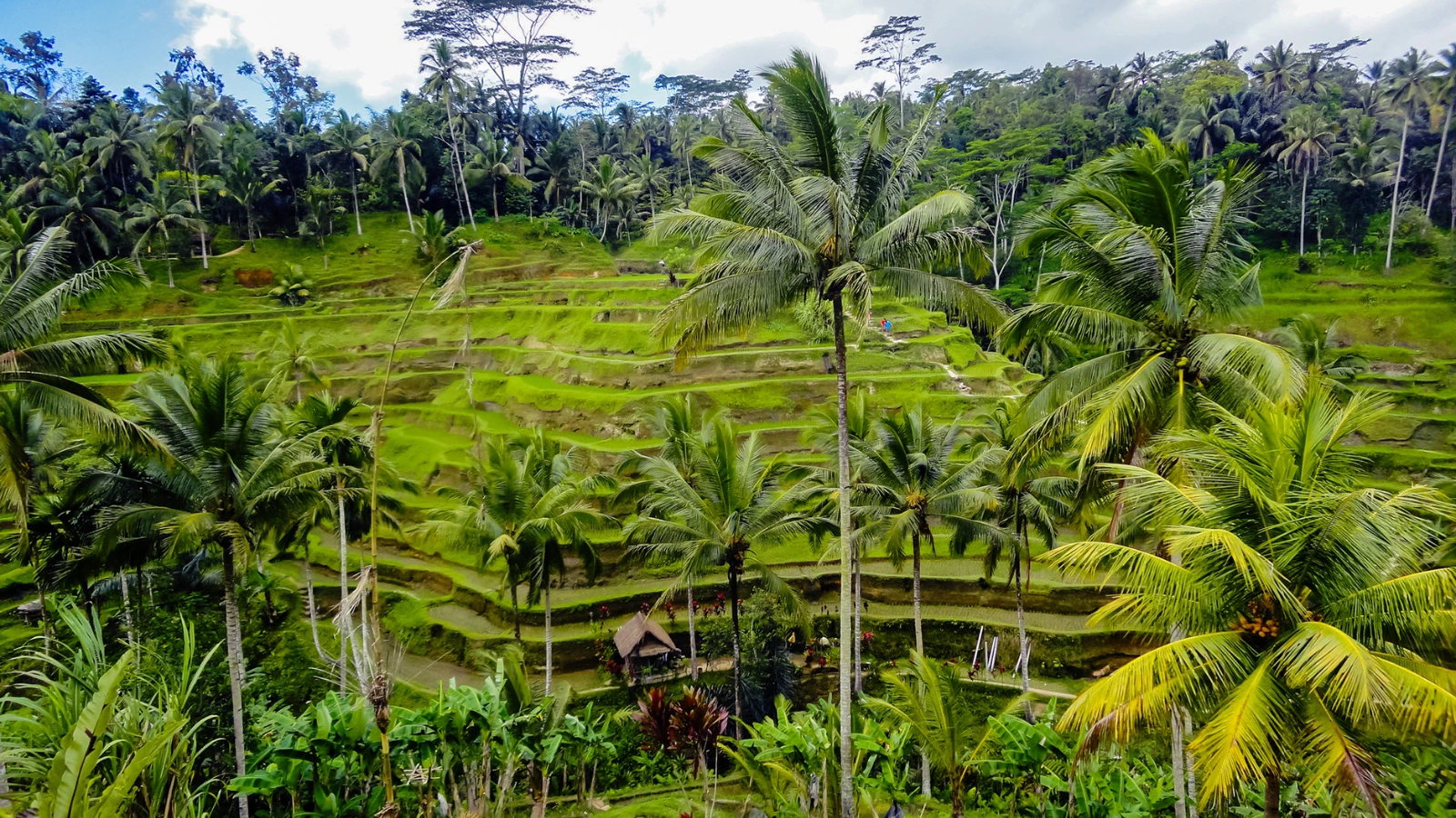 Ubud weather