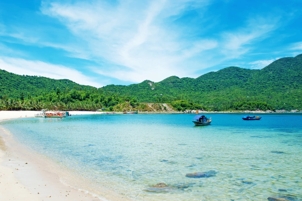 Go Snorkeling or Diving in the Cham Islands hoi an town centre