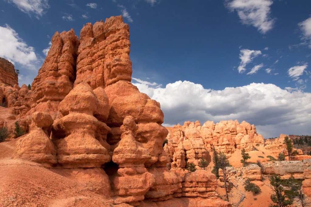 Red Rock Canyon National Conservation Area what to do in las vegas