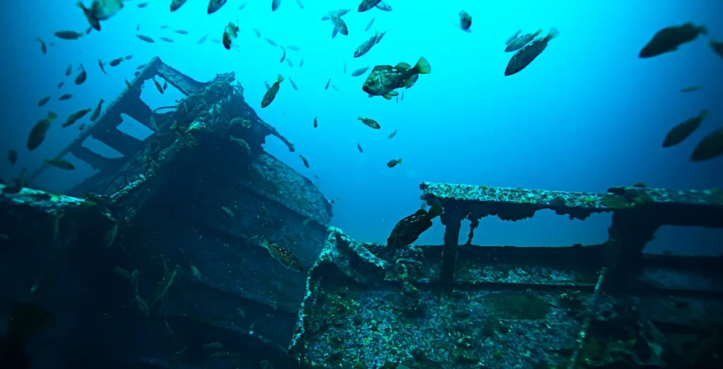 Snorkeling & Diving Shipwrecks