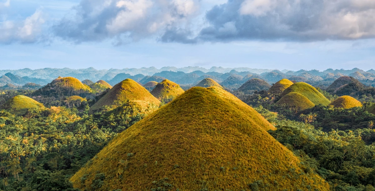 Visit the Chocolate Hills